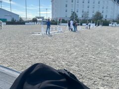 Jedes Jahr wieder - USA Tour in Florida