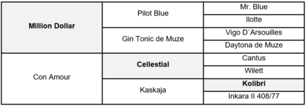 Million Amour Abstammung 